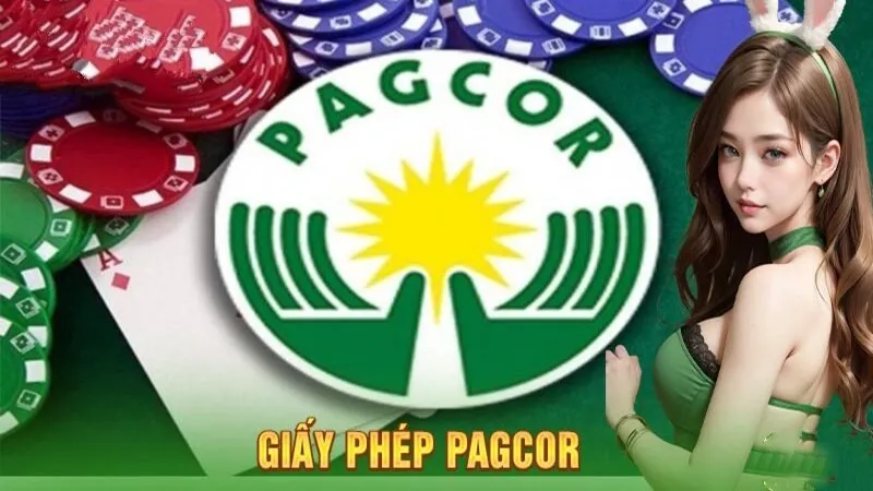 Giấy chứng nhận PAGCOR